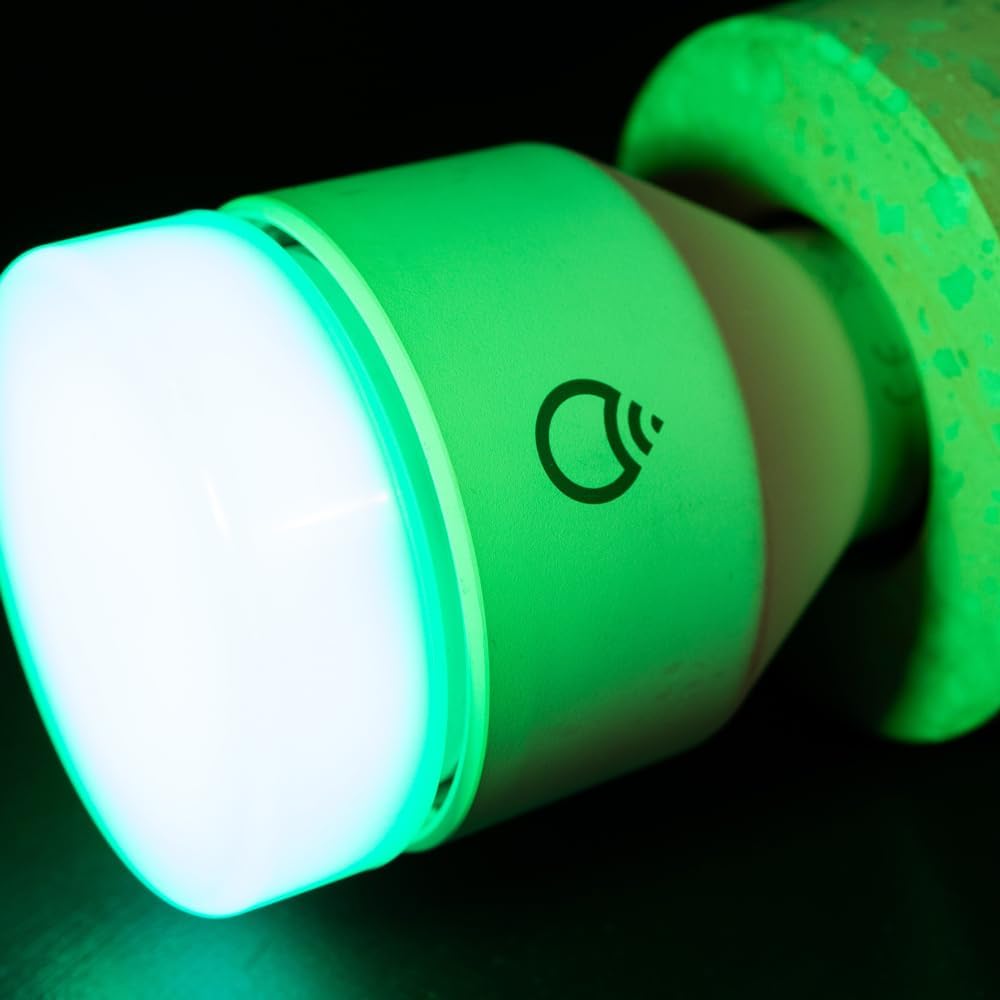 LIFX A21 LED Bulbs Smart LED Bulb, 1600 Lumens, Dimmable, Multicolor DEMO