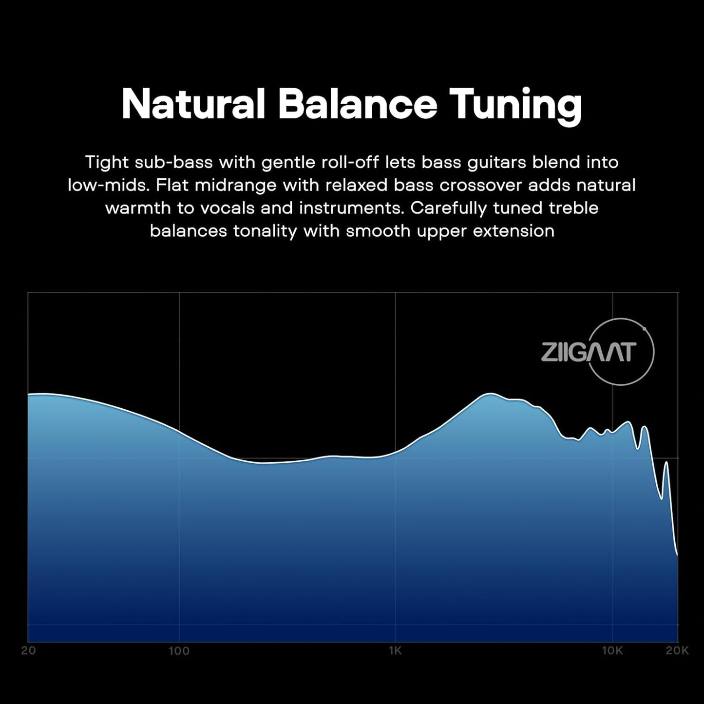 ZIIGAAT Black In-Ear Planar HiFi Wired Earbuds for Immersive Audio NEW