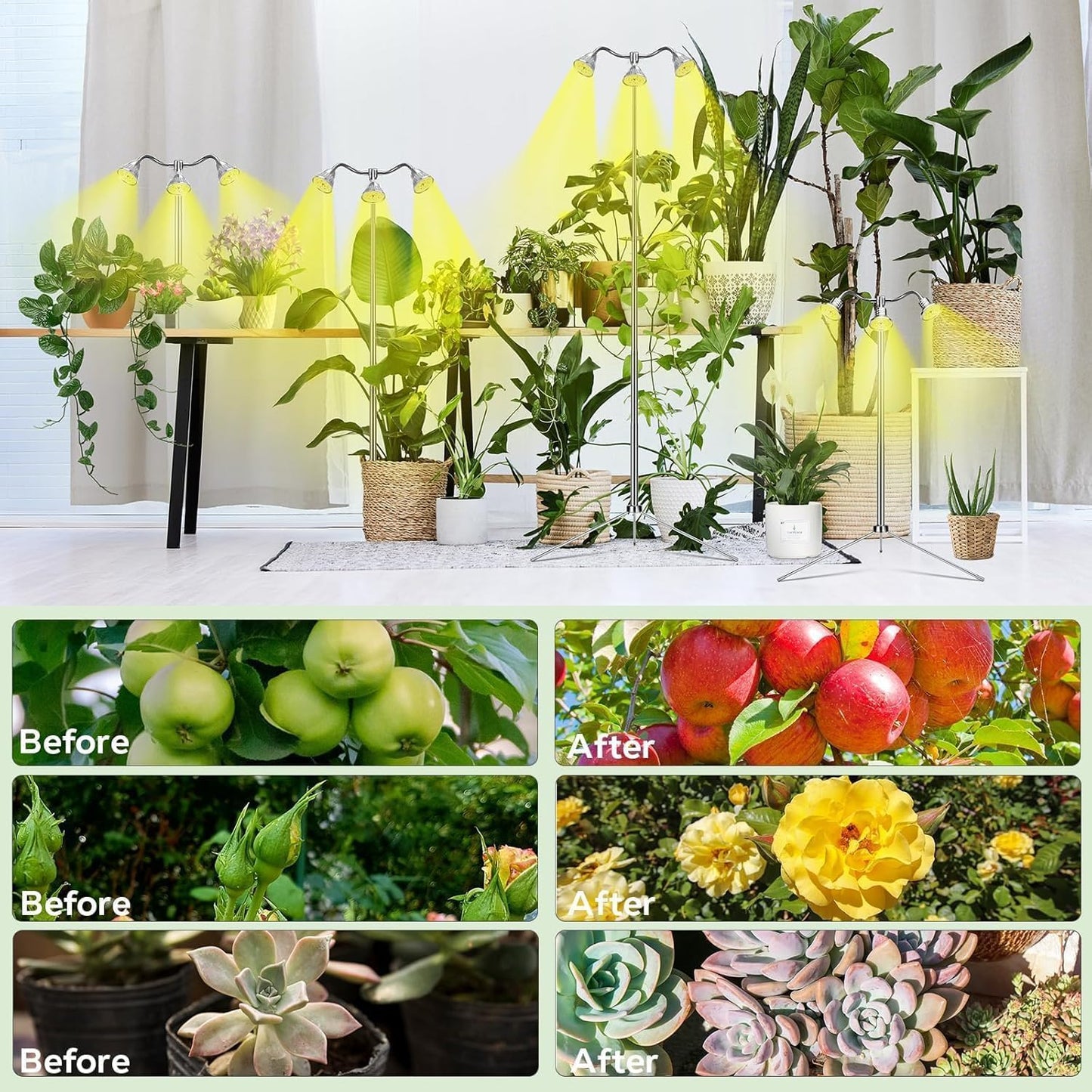 Adjustable Full Growing Lamps Spectrum LED Grow Light for Indoor Plants - DEMO