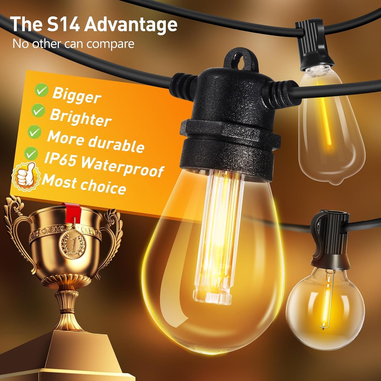Roshin 30M Indoor-Outdoor Waterproof Warm LED Festoon Lights for Indoor & DEMO