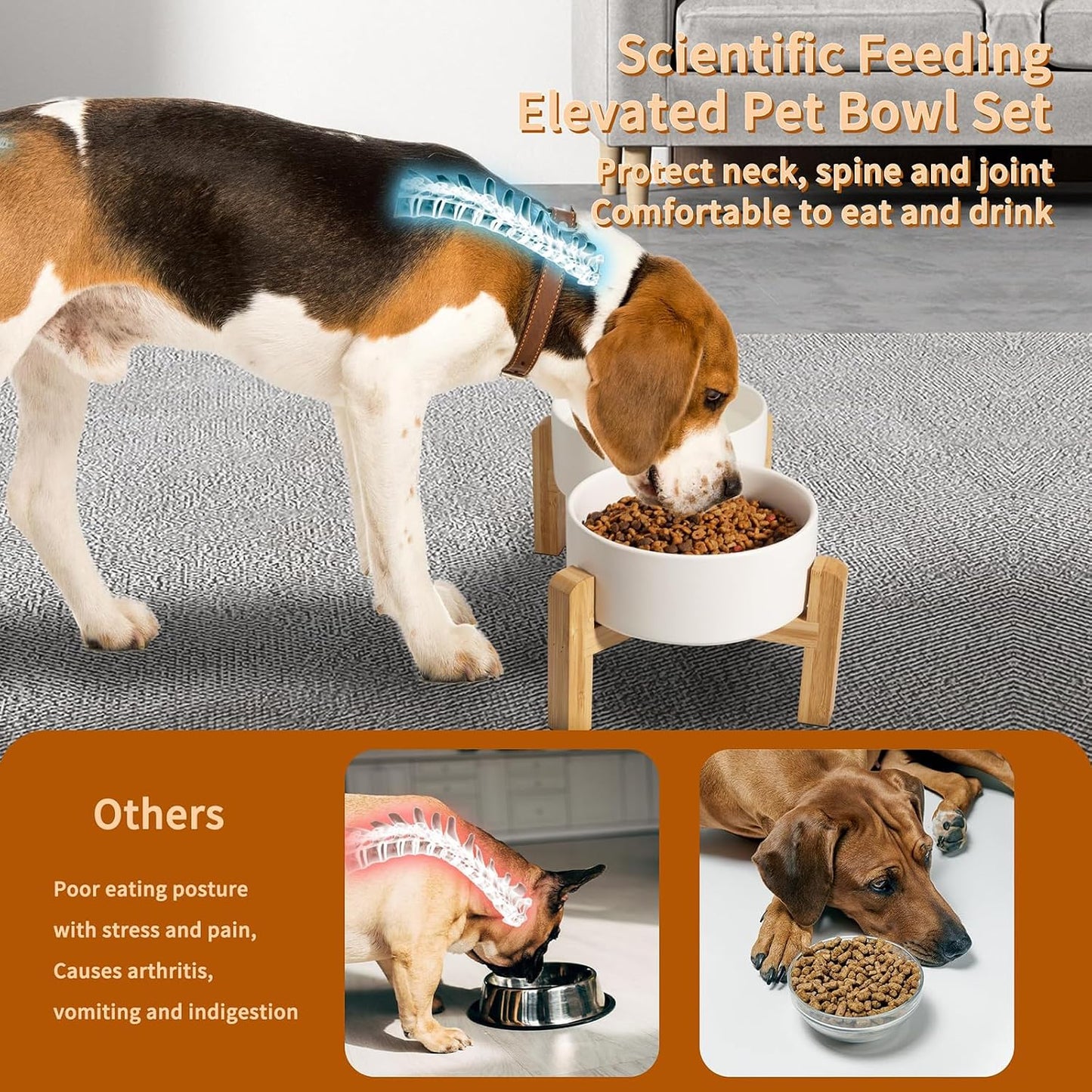 Elevated Ceramic Dog Bowls with Non-Slip Bamboo Base White 28oz x 2pcs NEW