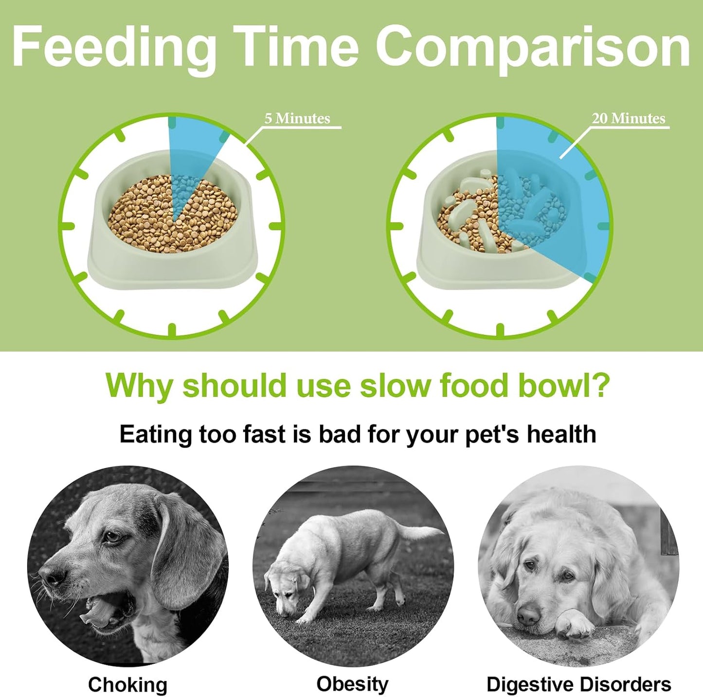 Happy Hunting Light Green Polypropylene Slow Feeding Pet Bowls for Dogs & NEW