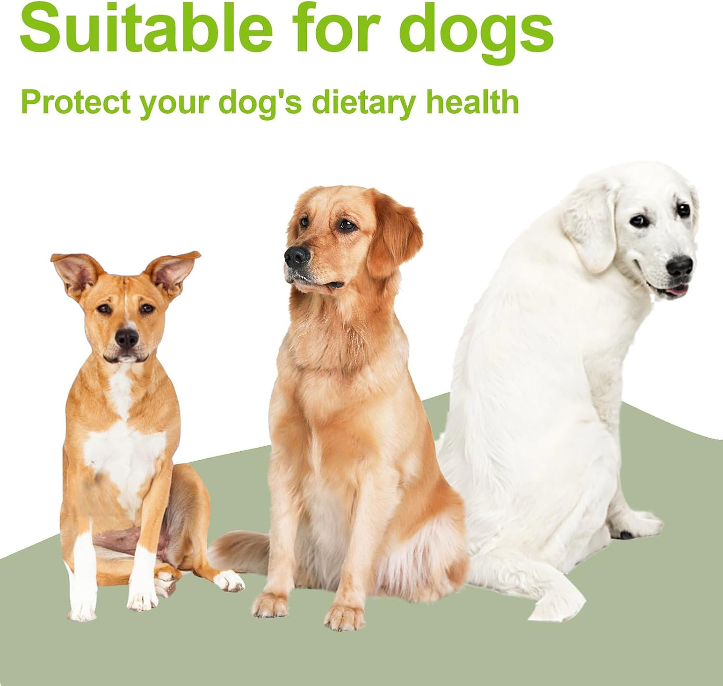 Happy Hunting Light Green Polypropylene Slow Feeding Pet Bowls for Dogs & NEW