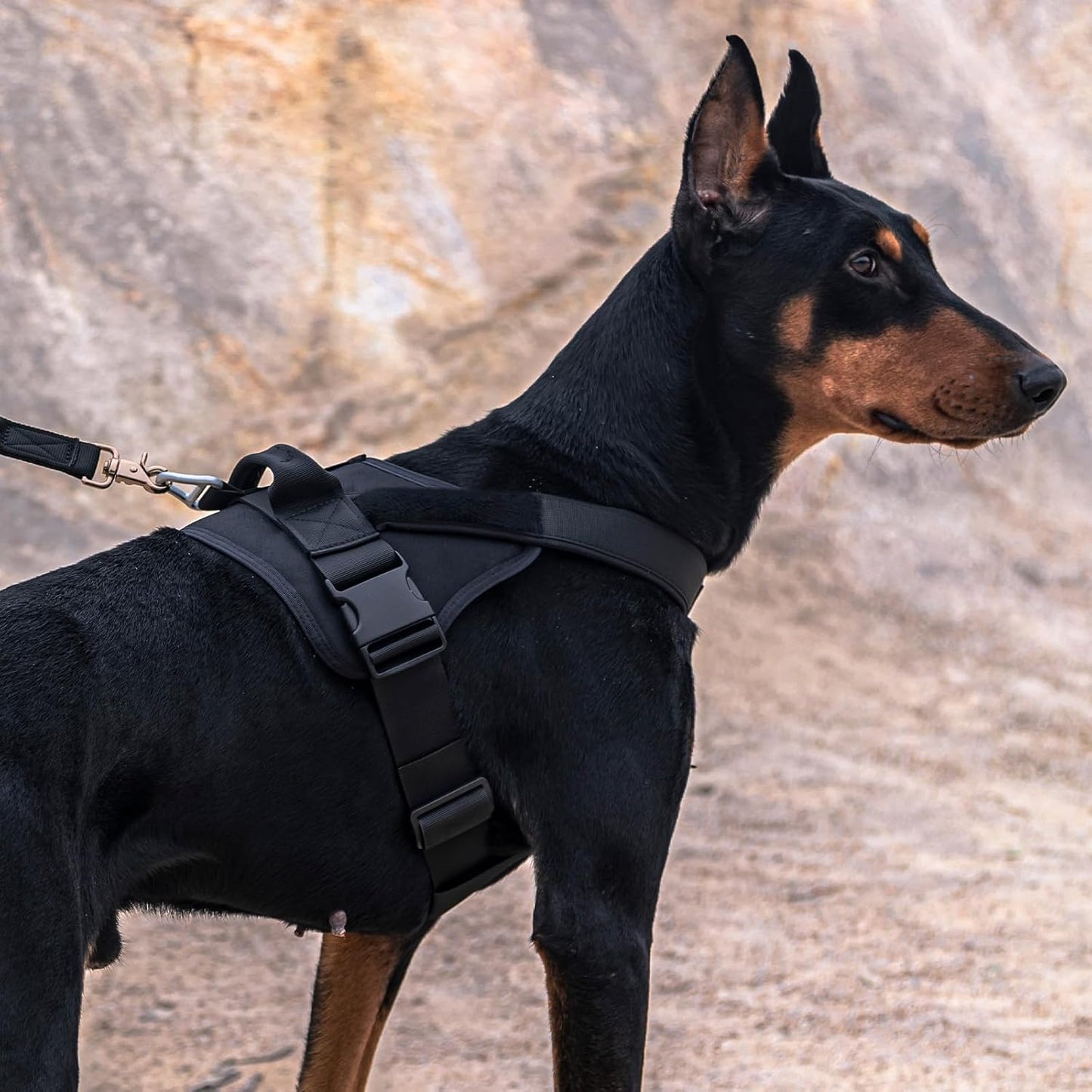 EXCELLENT ELITE SPANKER Nylon Military Patrol Dog Vest Harness Adjustable NEW