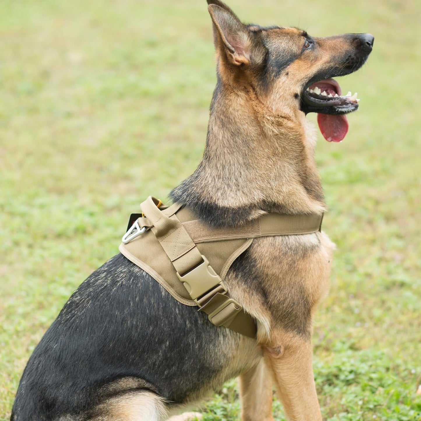 EXCELLENT ELITE SPANKER Nylon Military Patrol Dog Vest Harness Adjustable NEW