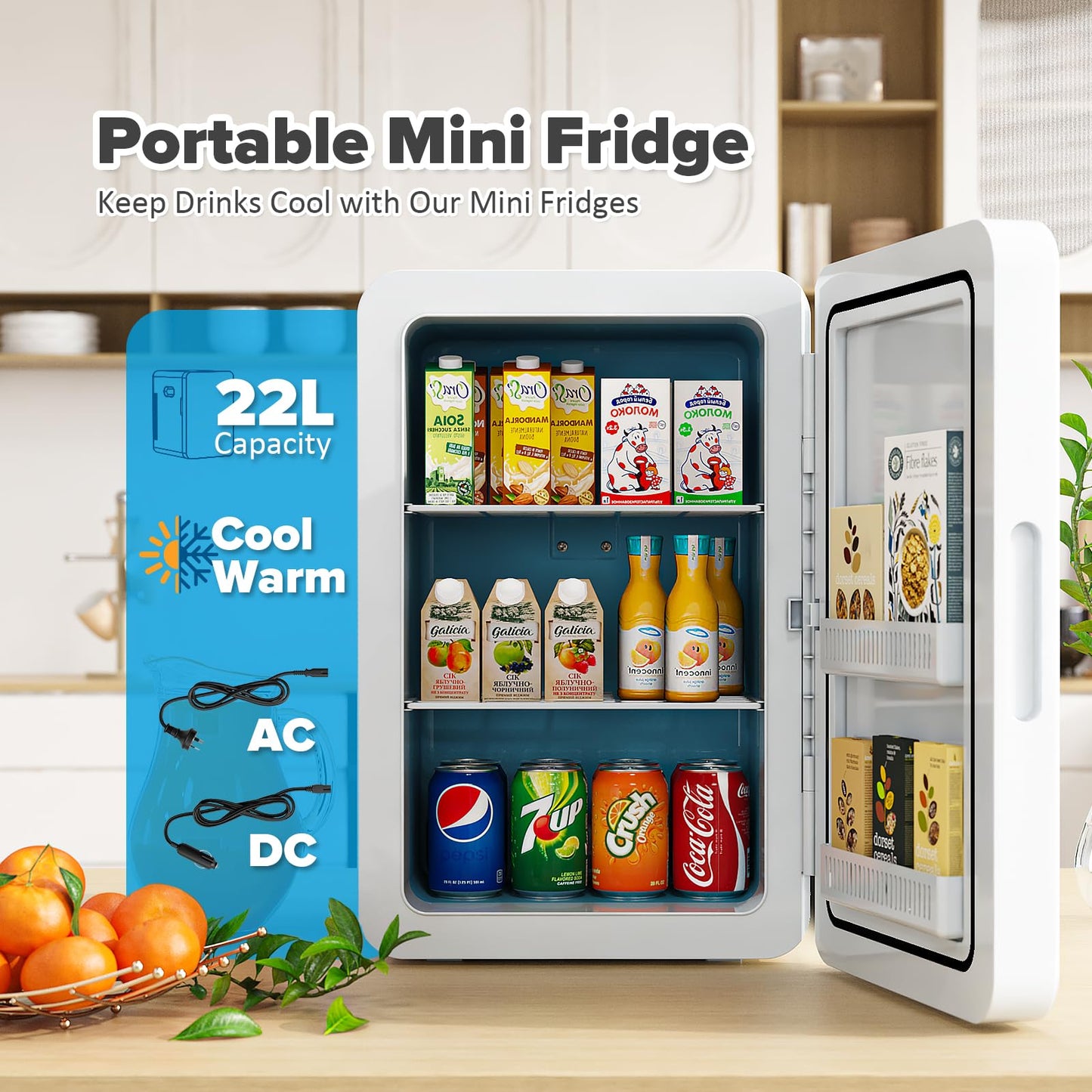 ADVWIN 22L Refrigerators Portable Mini Fridge for Dorm, Office, Bedroom - NEW