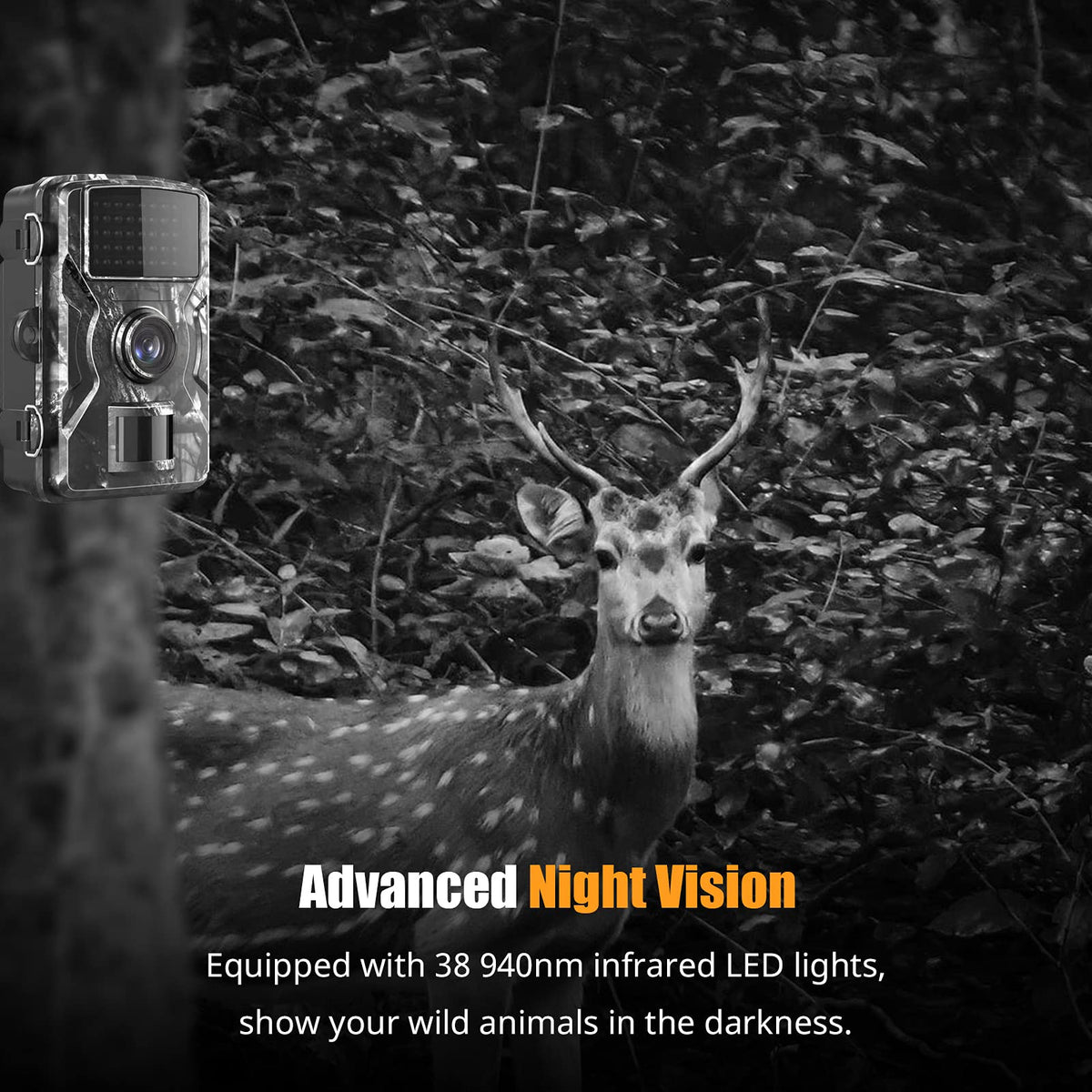 Green & Black Pet Cameras with Infrared Night Vision and Motion Sensor DEMO