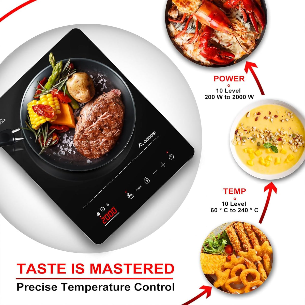 AAOBOSI 2000W Portable Induction Cooktop Single Burner Black DEMO