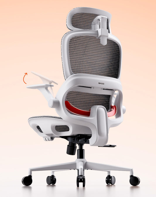SIHOO B100 Ergonomic Mesh Office Desk Chair White Standard DEMO