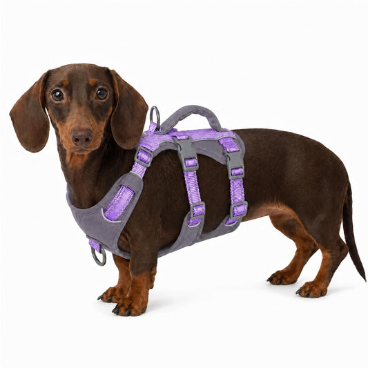 Huntboo Reflective Dog Vest Harness Escape Proof Lavender Purple Size Small NEW