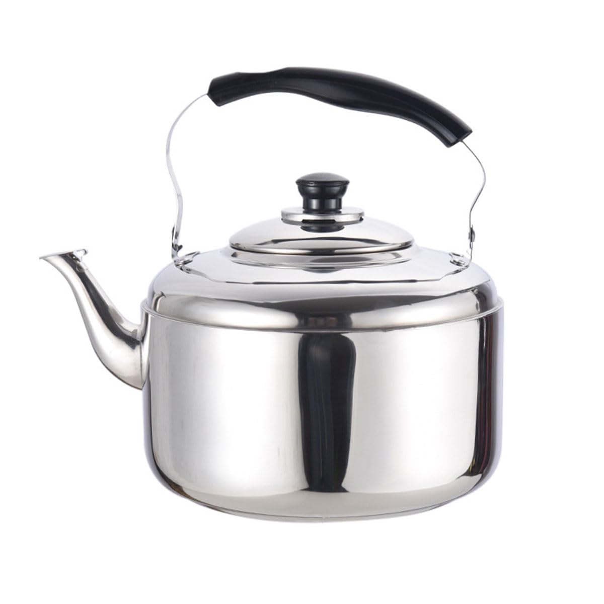 Stainless Steel Stovetop Kettle with Whistle and Ergonomic Handle, 5L DEMO