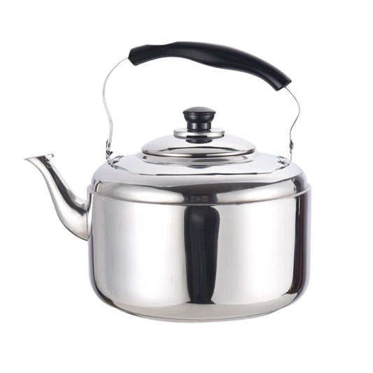 Stainless Steel Stovetop Kettle with Whistle and Ergonomic Handle, 5L DEMO