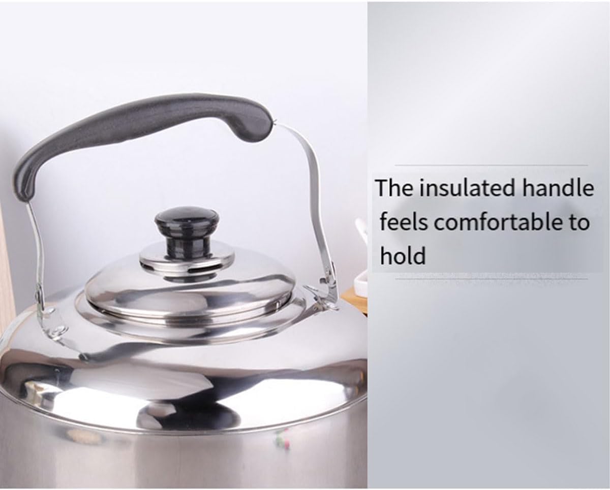 Stainless Steel Stovetop Kettle with Whistle and Ergonomic Handle, 5L DEMO