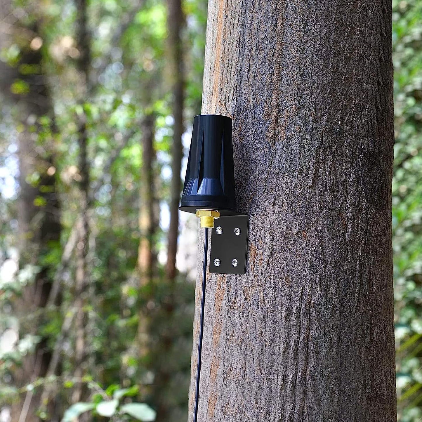 Bingfu Outdoor 4G LTE Antenna Networking Device Wall Mount Waterproof SMA NEW