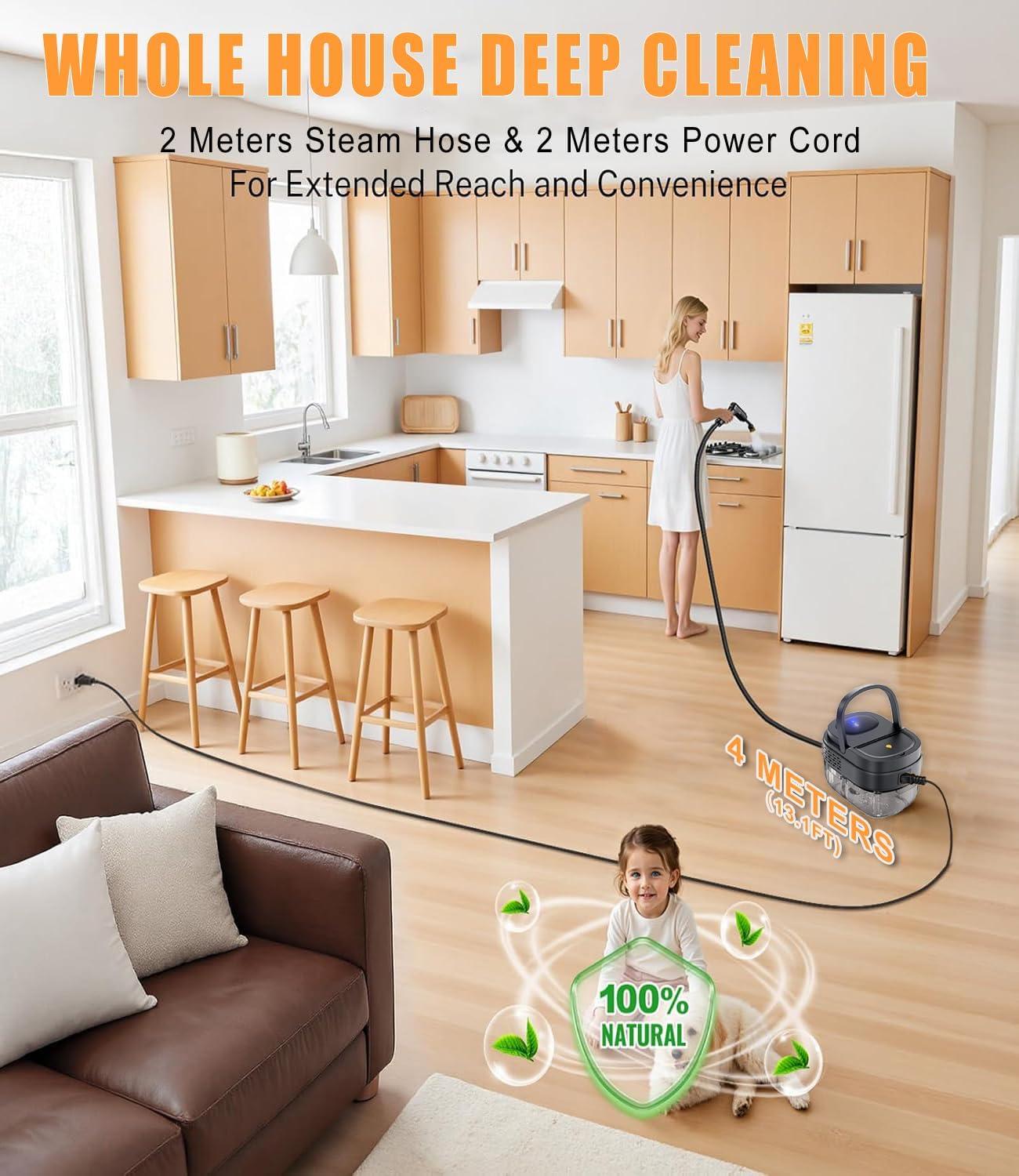 Powerful 1600ml Black Handheld Steam Cleaner with 12-Piece Accessories DEMO