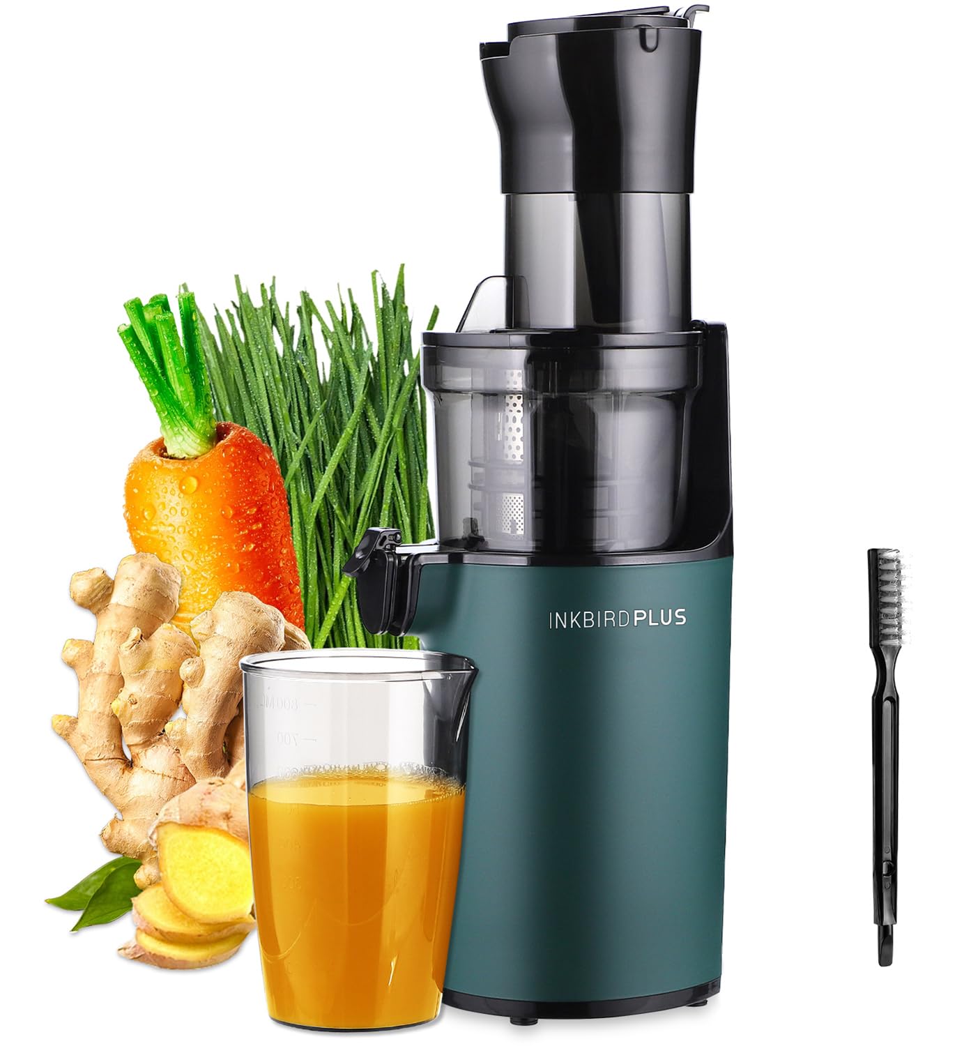 Inkbird Green Juicers Slow Masticating Juicer for Fruits Vegetables Cold DEMO