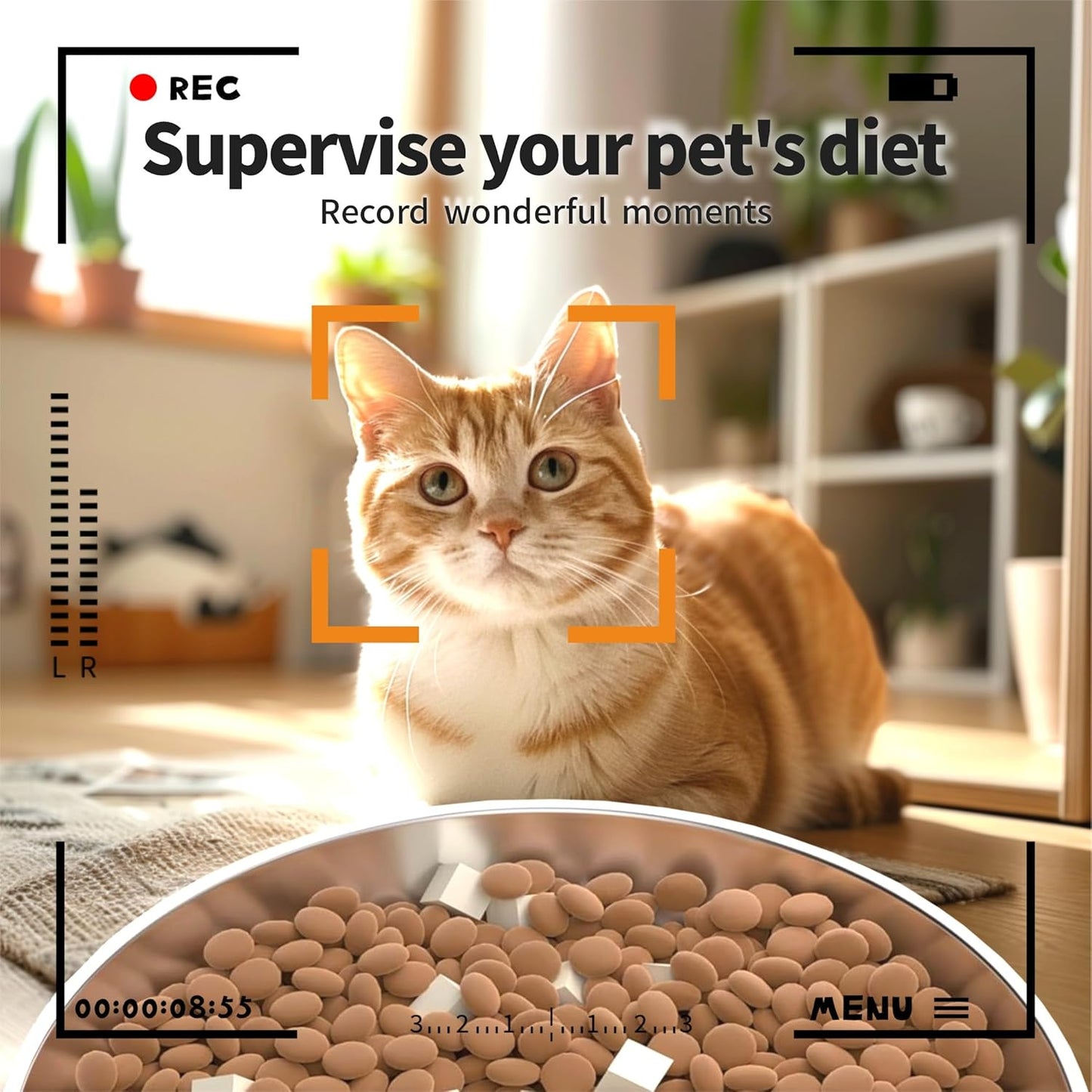 ALUCKKEY 6L Automatic Pet Feeder with Camera, Smart Dog Cat Dual Power DEMO
