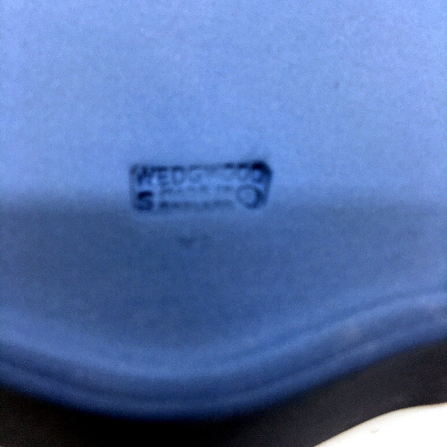 VINTAGE Wedgwood Light Blue Decorative Ceramic Plate Silhouette Design In Box
