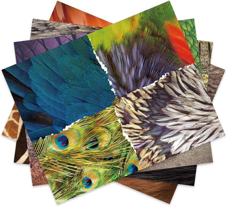Mier Education Small Art Paper Collage Craft Supplies for Creative Projects NEW