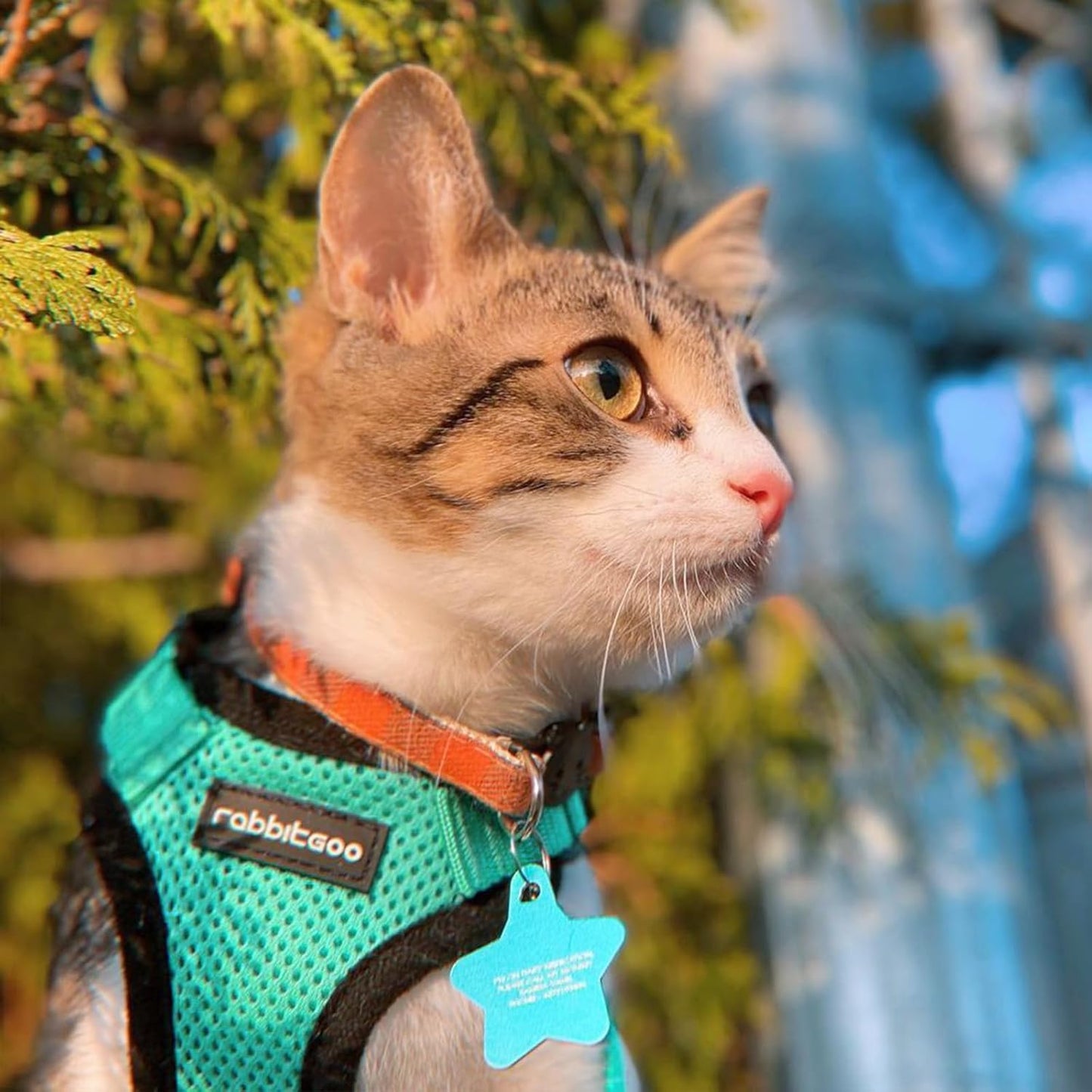 rabbitgoo Escape Harnesses Proof Soft Adjustable Nylon Cat Harness XXS NEW