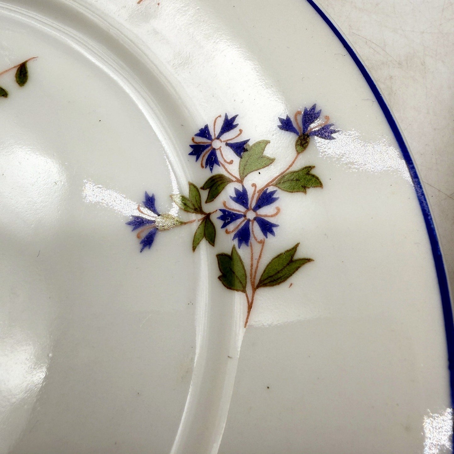 Swiss Made Suisse Langenthal 6Pce Dessert Cake Plate Set Blue Floral Pattern