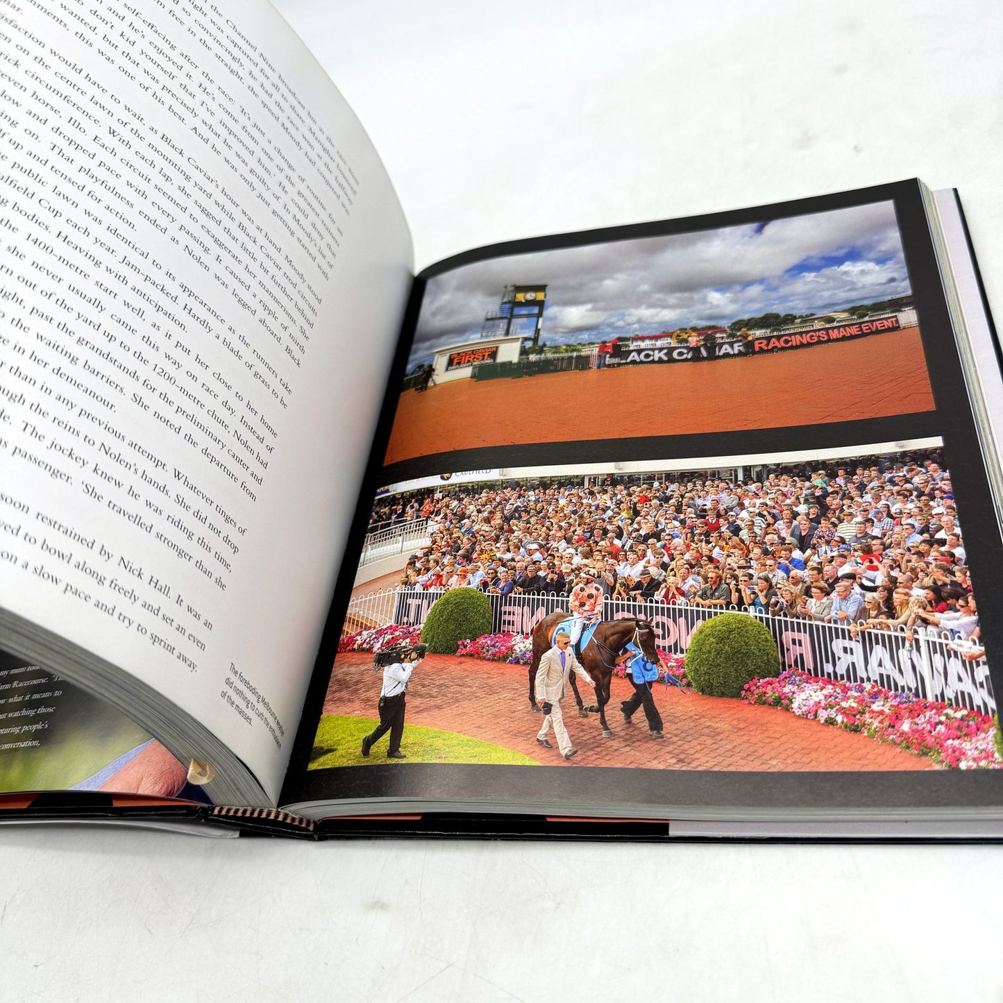 Black Caviar: The Horse of a Lifetime by Gerard Whateley Autobiography Book