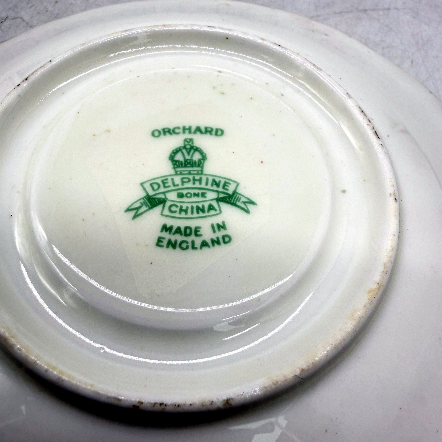 VINTAGE Delphine Bone China England Tea Cup and Saucer Set Green Orchard Floral