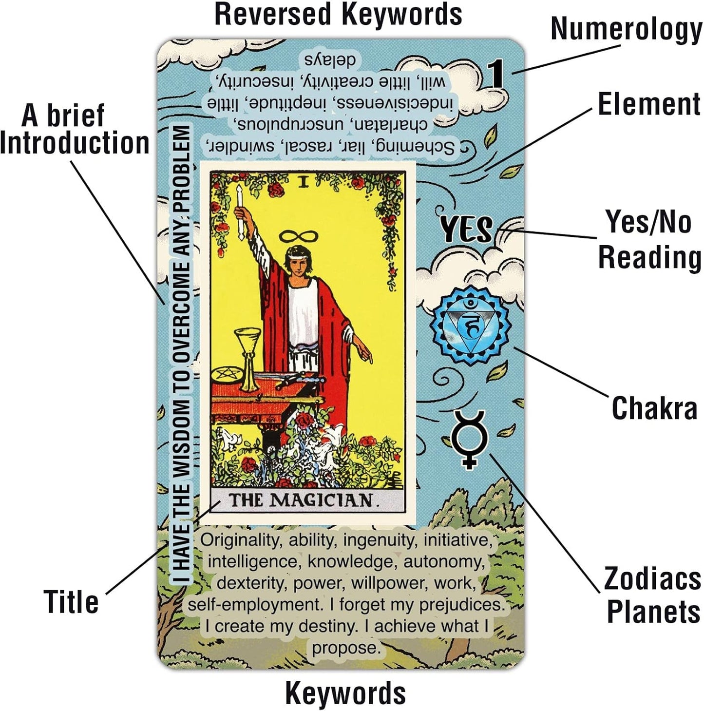TAROTIKA Easy Tarot Standard Playing Card Decks for Beginners & NEW