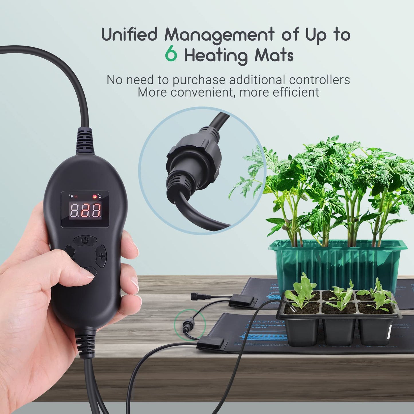 INKBIRDPLUS Seedling Heat Mat with Digital Thermostat Waterproof 30W DEMO