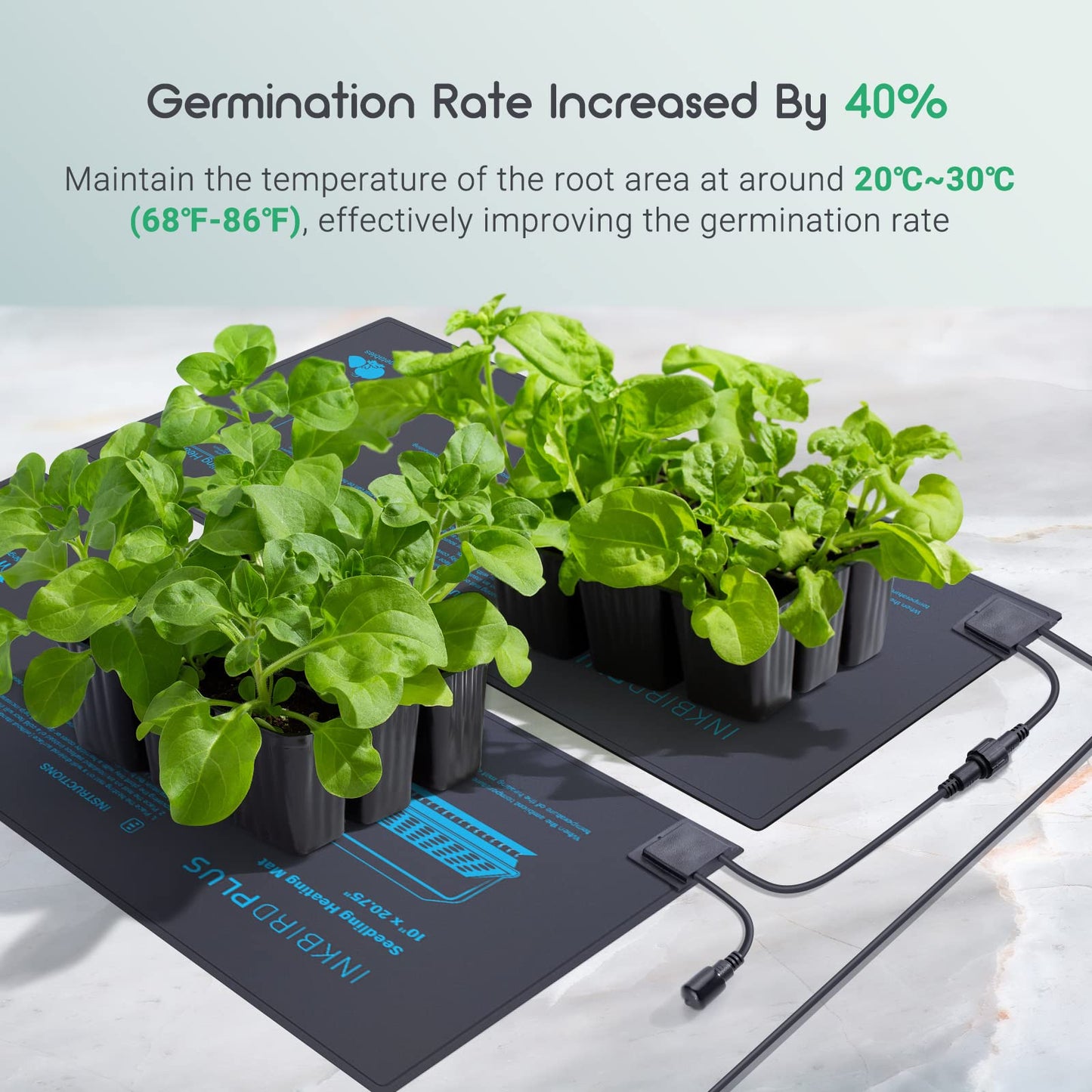 INKBIRDPLUS Seedling Heat Mat with Digital Thermostat Waterproof 30W DEMO