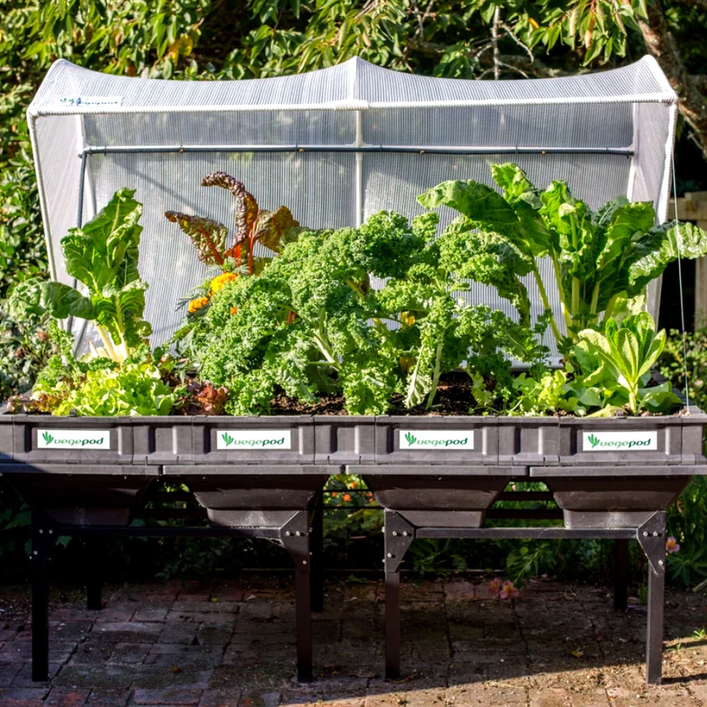 Vegepod Galvanised Steel Raised Garden Bed Planter Stand For Pod 2m x 1m NEW