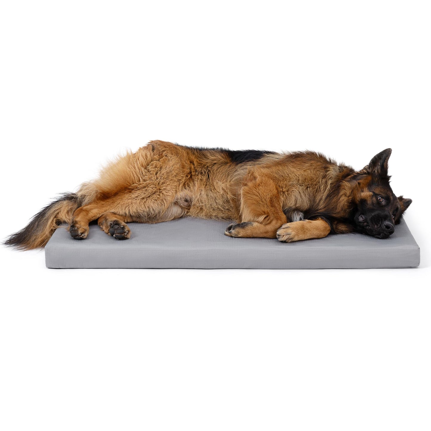 PELZIN Chew Beds Proof Outdoor Waterproof Dog Bed, Limestone XXL NEW