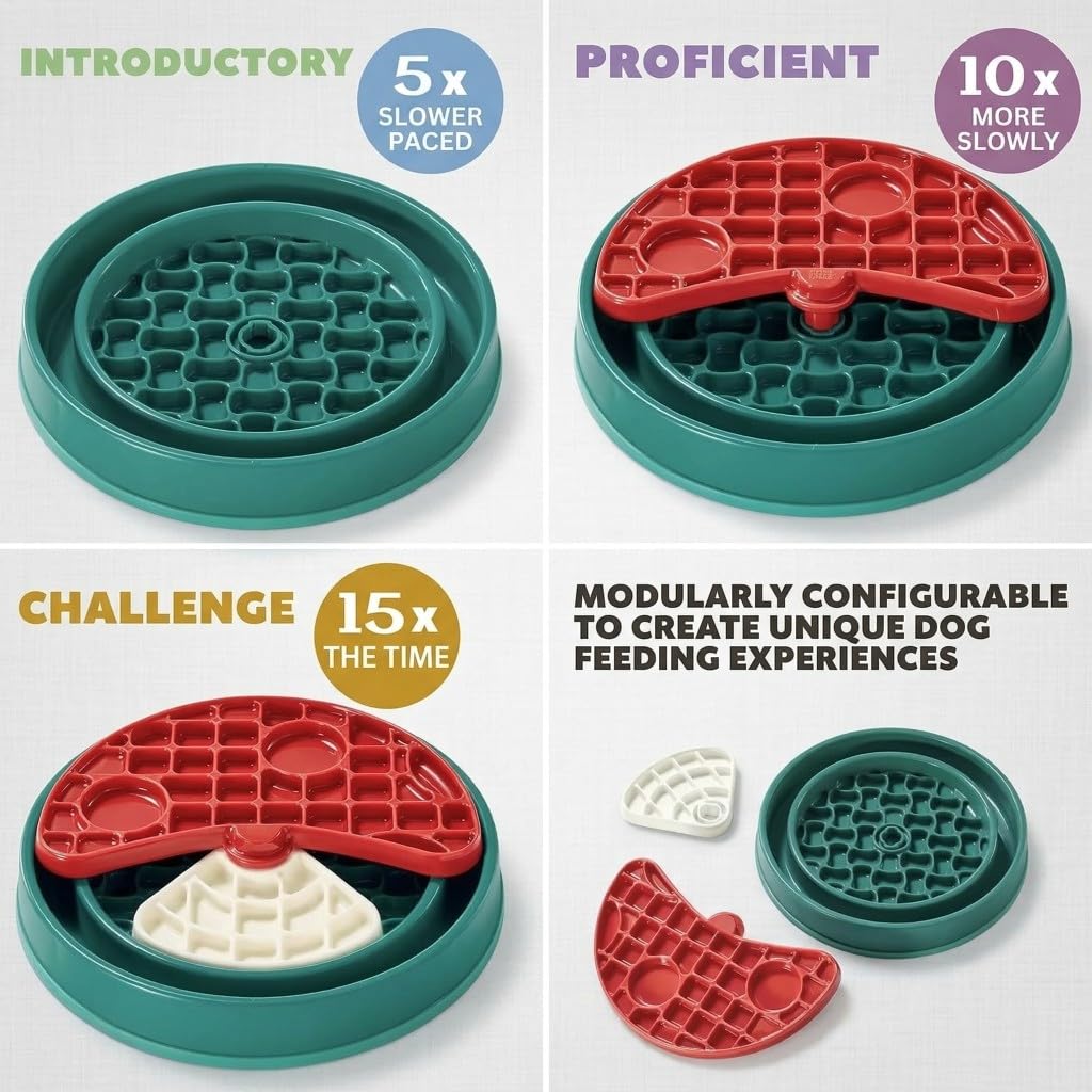 Slow Feeder Enrichment Puzzle Toy Interactive Mushroom Dog for All Breeds NEW