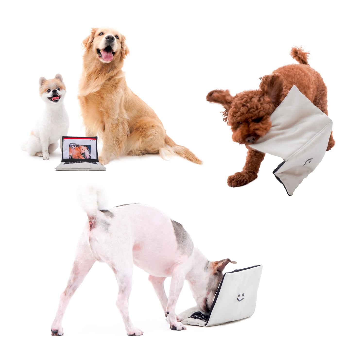 BACONBOX Laptop & Coffee Cup Dog Toy Set, Squeaky Crinkle Plush Toy NEW