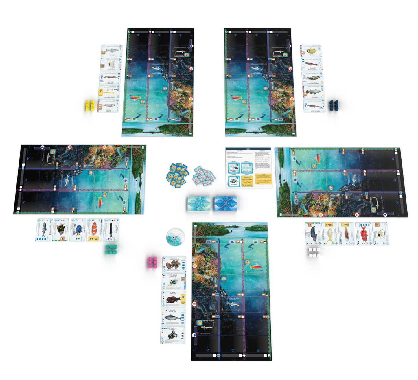 Stonemaier Games EBGames Finspan A Wingspan Game Boardgame NEW
