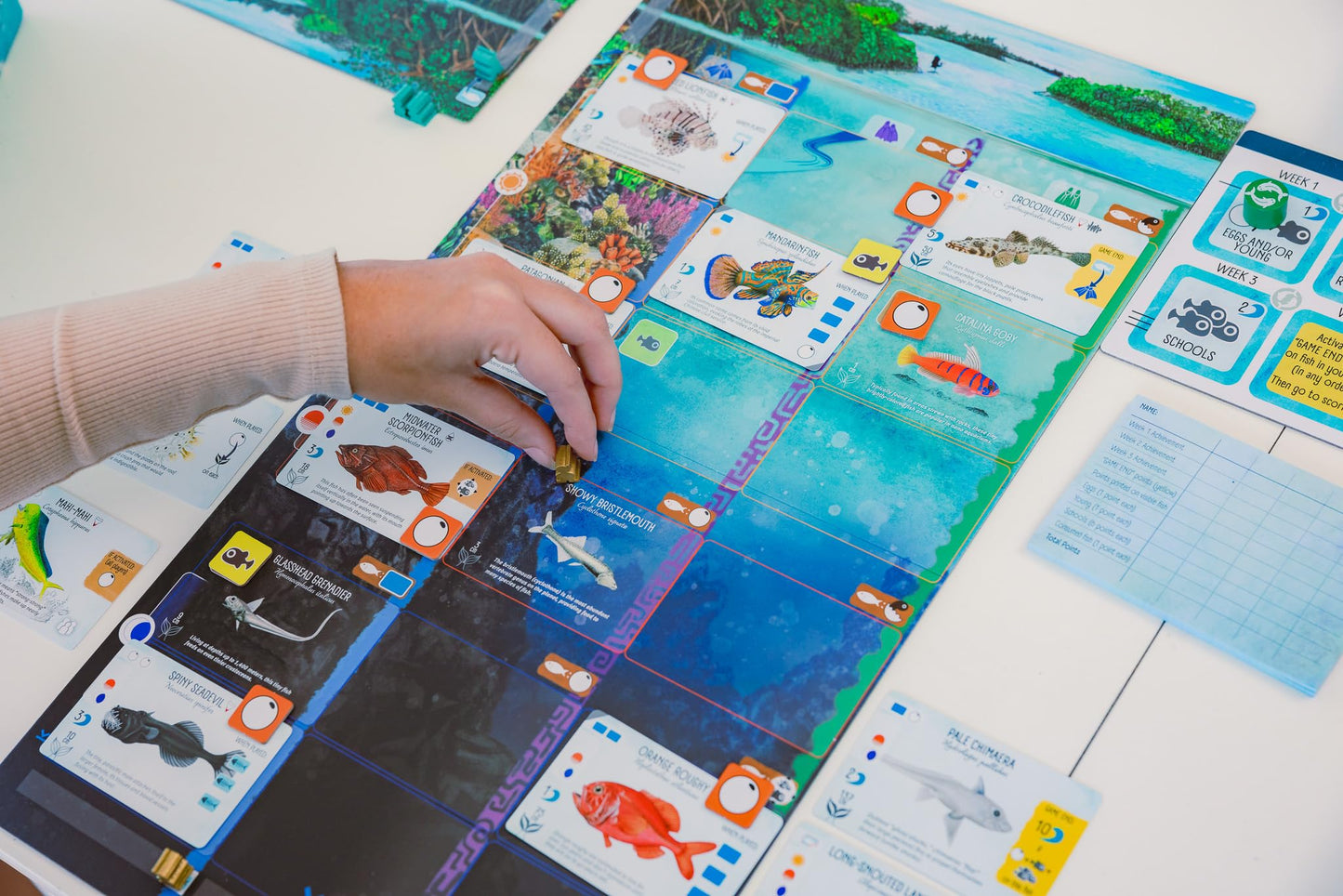 Stonemaier Games EBGames Finspan A Wingspan Game Boardgame NEW