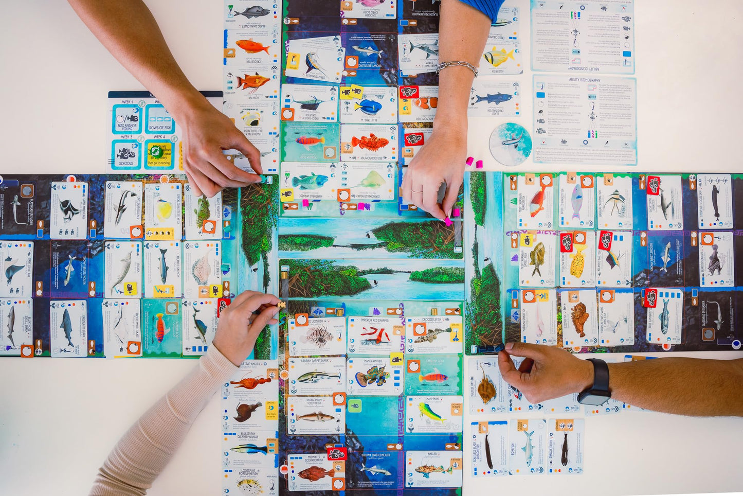 Stonemaier Games EBGames Finspan A Wingspan Game Boardgame NEW