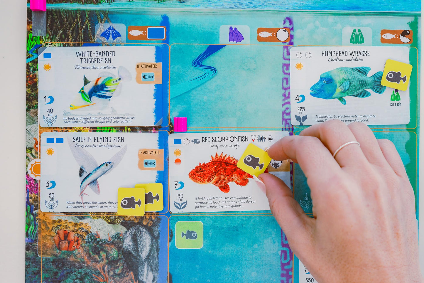 Stonemaier Games EBGames Finspan A Wingspan Game Boardgame NEW