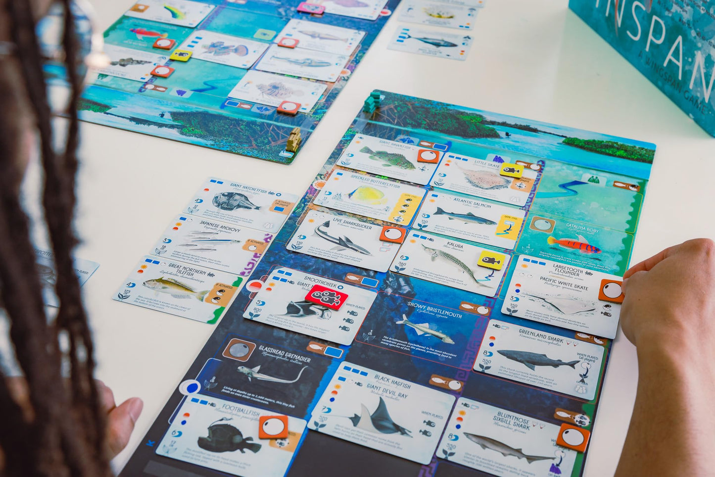Stonemaier Games EBGames Finspan A Wingspan Game Boardgame NEW