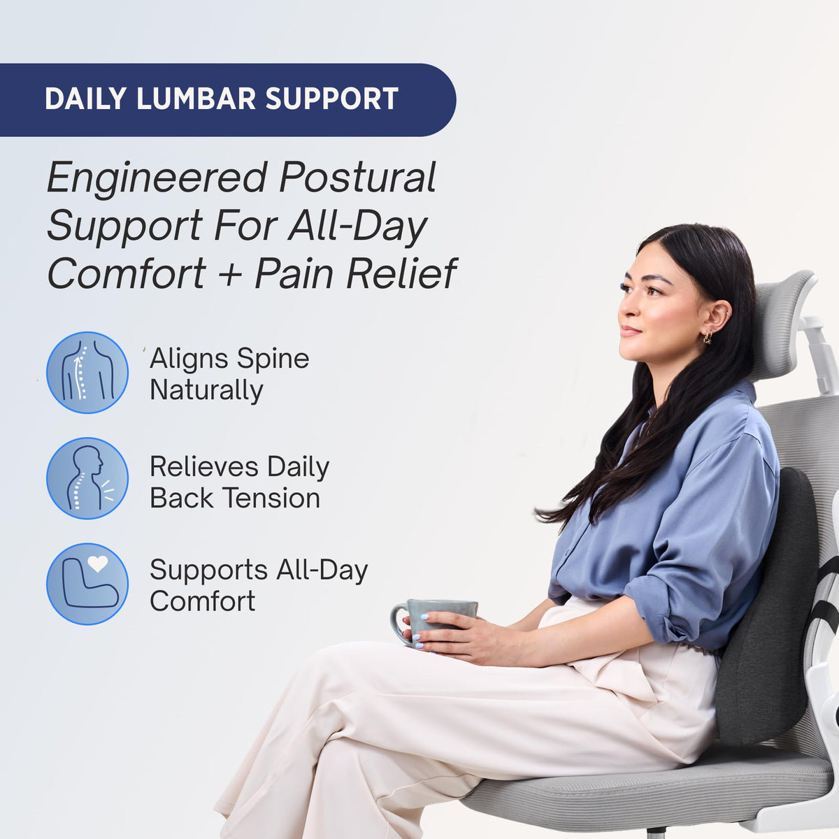 Align Labs Ergonomic Lumbar Support Pillow Cushion, Charcoal, Standard Size DEMO