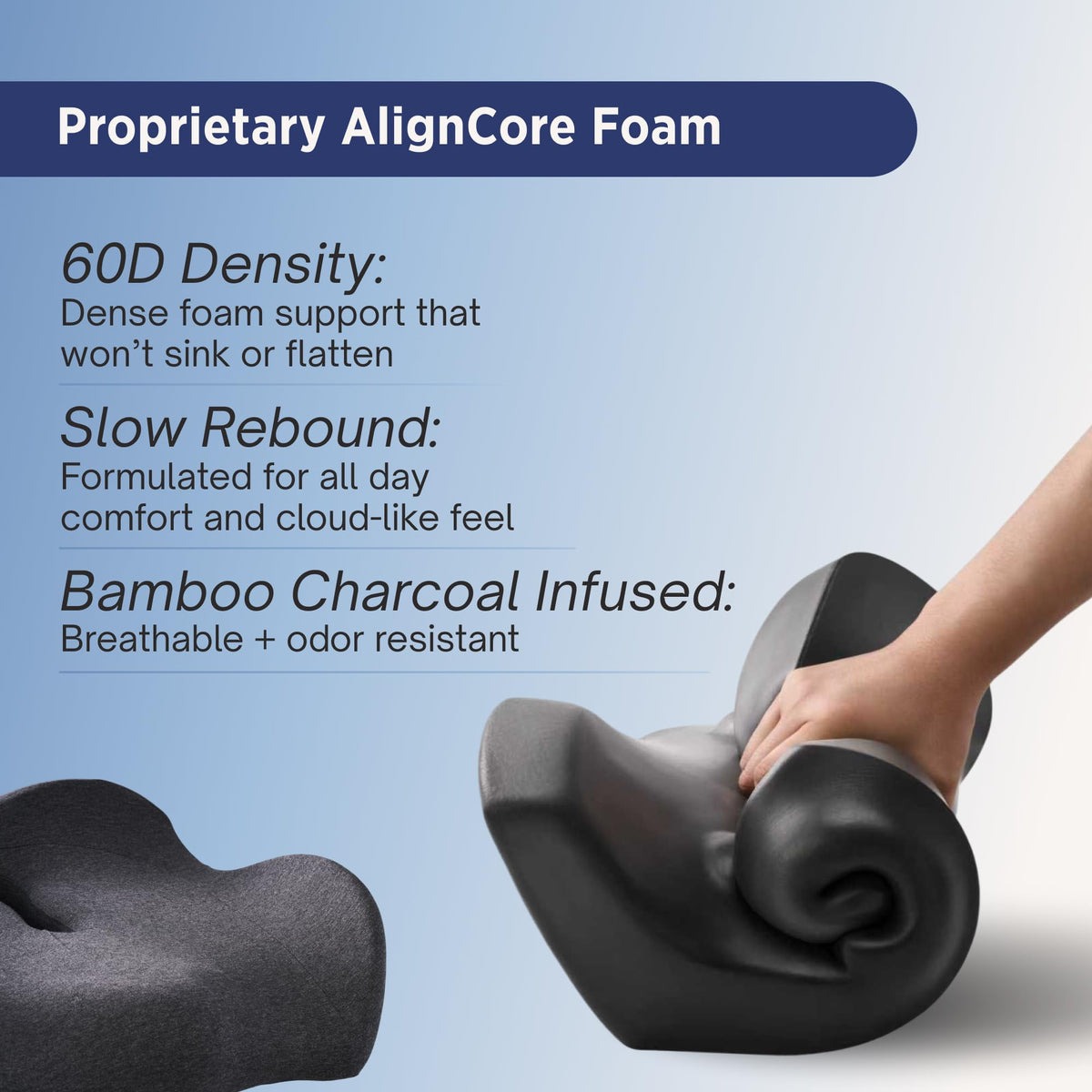 Align Labs Ergonomic Lumbar Support Pillow Cushion, Charcoal, Standard Size DEMO