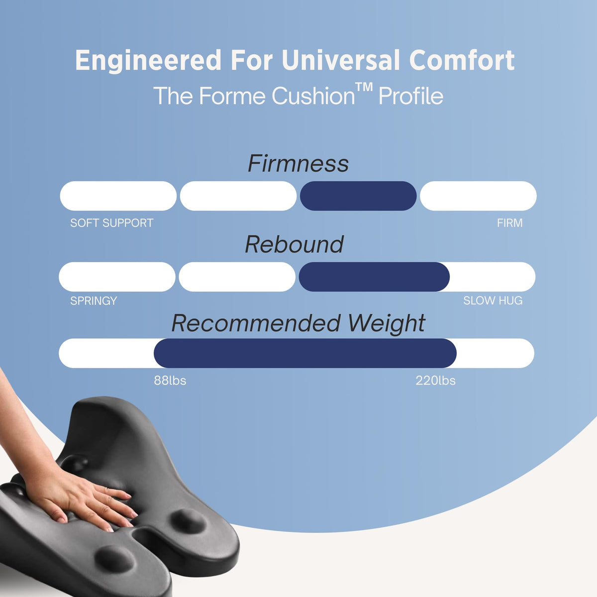 Align Labs Ergonomic Lumbar Support Pillow Cushion, Charcoal, Standard Size DEMO