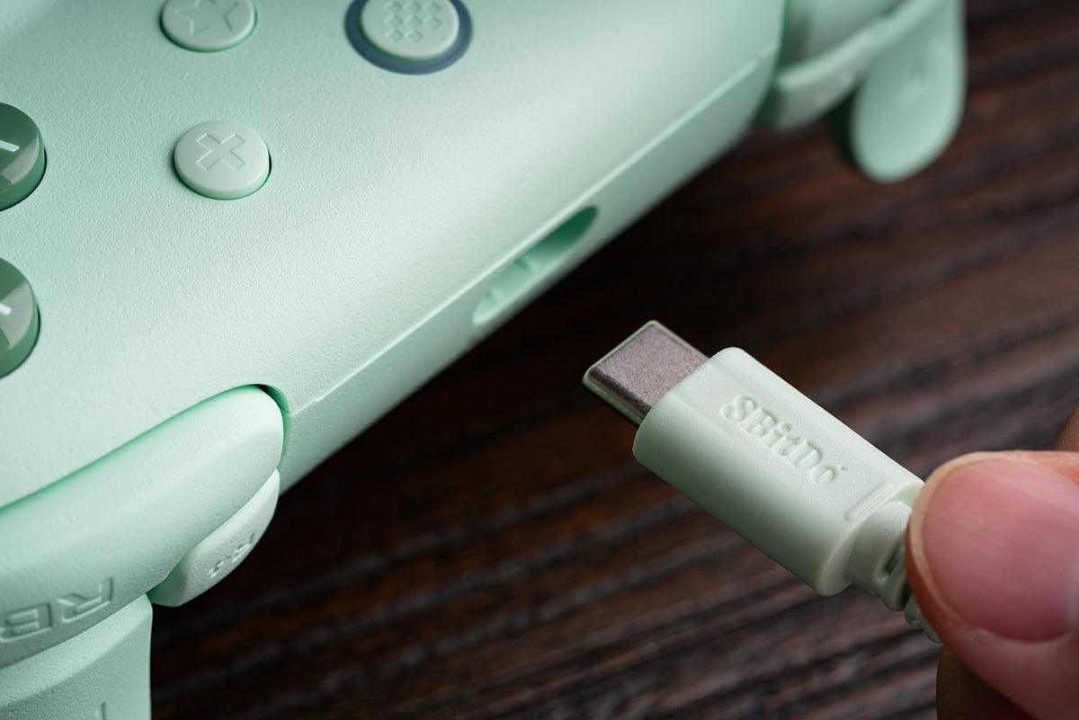 8BitDo Ultimate 2C Wired Gaming Controller for Windows PC and Android DEMO