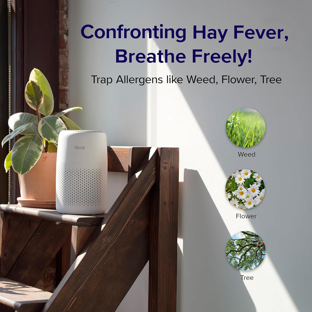 Levoit 3-in-1 Air Purifiers Air Purifier for Home with Night Light, HEPA DEMO