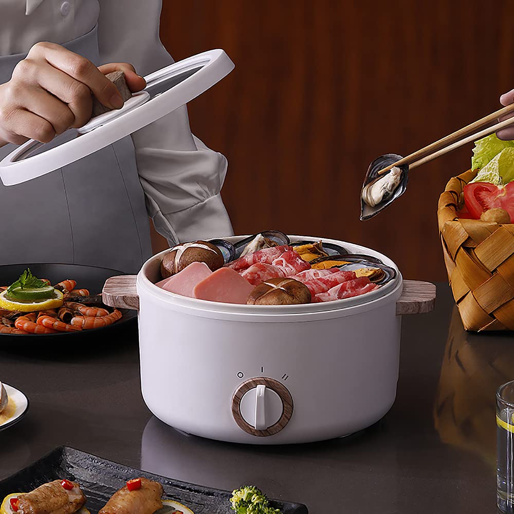 diida 1.5L Speciality Appliances Portable Electric Hot Pot with Nonstick NEW