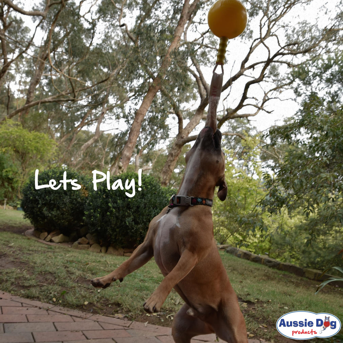 Aussie Dog Balls Products Home Alone Yellow Ball Size S - Pet Toy Size S NEW
