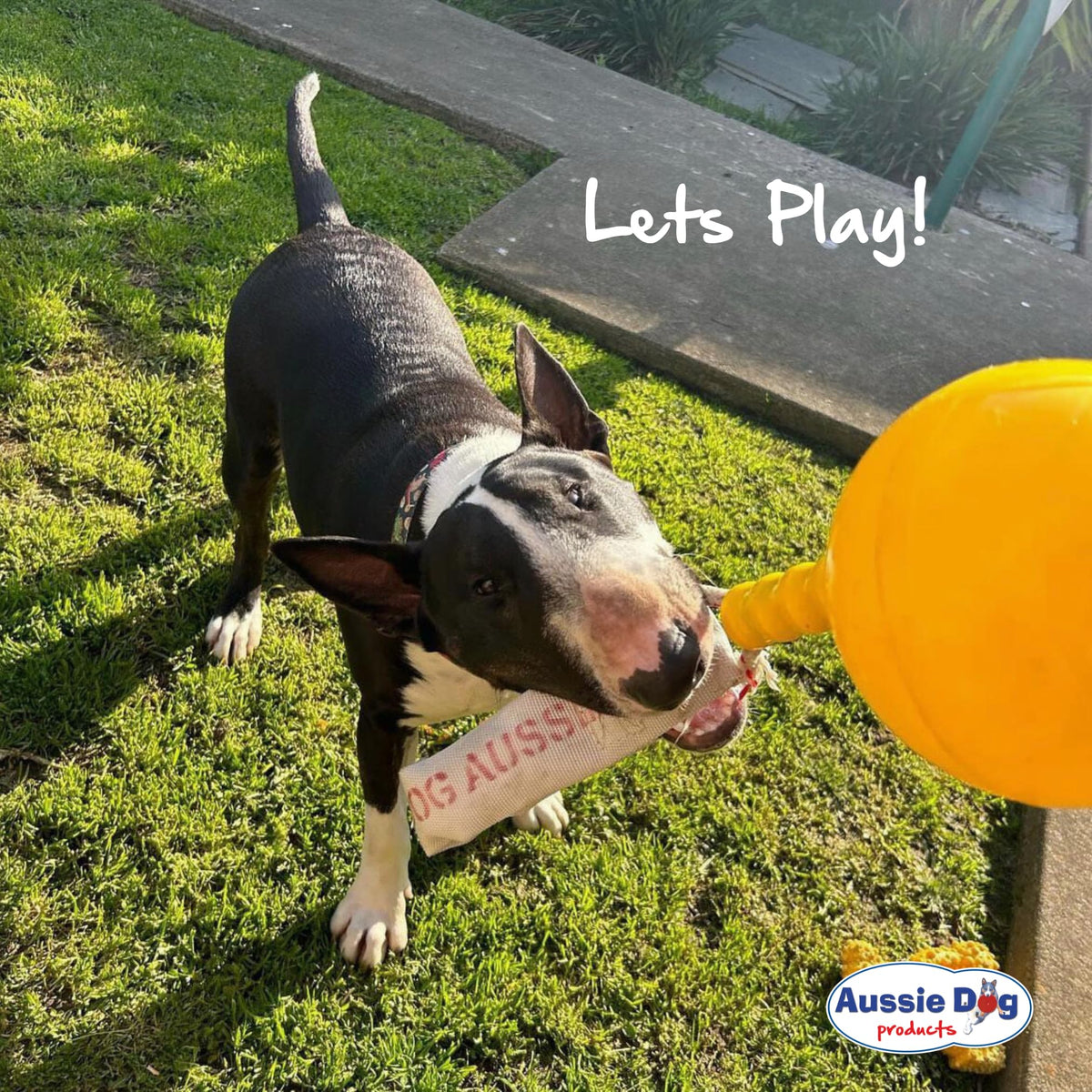 Aussie Dog Balls Products Home Alone Yellow Ball Size S - Pet Toy Size S NEW