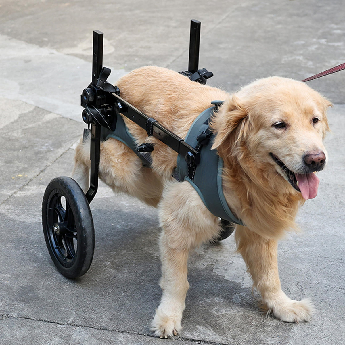 KAJILE Folding Adjustable Pet Pram Wheelchair - Grey Dark Size 2XL NEW