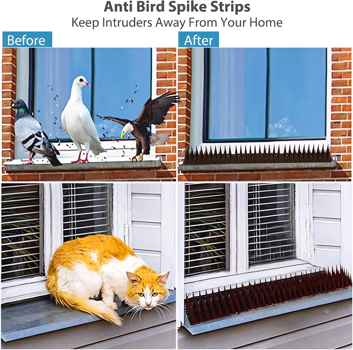 ZDZX Black Plastic Bird Spikes Anti-Pest Deterrent for Backyard NEW