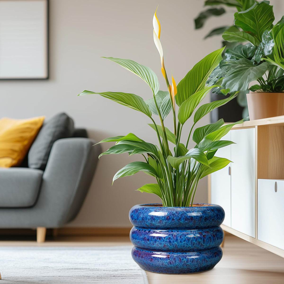 SQOWL Blue Cachepots Ceramic Cachepot Large Planter 13 Inch Indoor Outdoor NEW